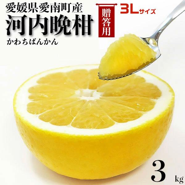 愛媛 河内晩柑 3kg 3Lサイズ指定 秀品 ギフト用 宇和ゴールド同品種 かわちばんかん 愛媛県愛南町産 柑橘みかん 果物 フルーツ 贈答用ギフトにも ギフト広場