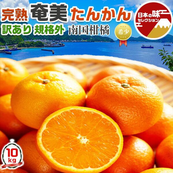 奄美 たんかん みかん 訳あり 10kg 完熟 家庭用 規格外 奄美大島産