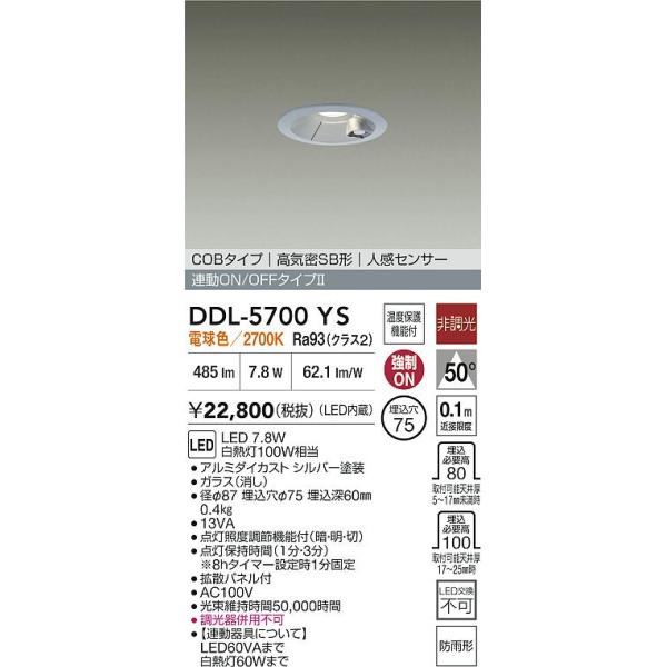 大光電機 【送料無料】【インボイス対応店】大光電機 屋外灯 ダウン