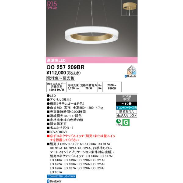 ✨️2023年製✨️オーデリック OC257209BR LEDペンダントライト ODELIC（オーデリック） 安心のメーカー保証 オーデリック照明器具
