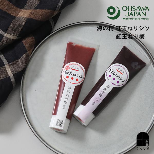 オーサワ 特別栽培 紅玉ねり梅 チューブタイプ 添加物不使用 梅肉 ペースト 練り梅 国産 調味料 国産特別栽培梅干し100％使用 オーサワジャパン