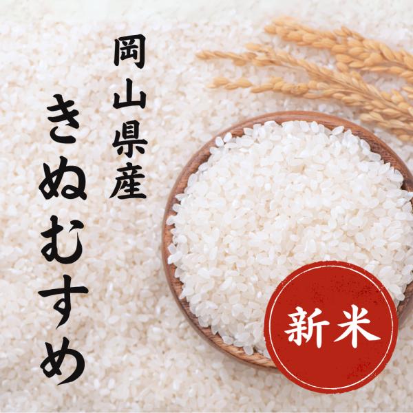 【新米】令和8年産 特A きぬむすめ 5kg 白米 岡山県産 単一原料米 美味しい お米【送料無料】