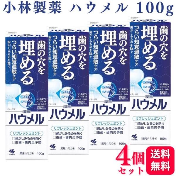 4個セット 小林製薬 ハウメル 100g リフレッシュミント 知覚過敏ケア 薬用ハミガキ 医薬部外品