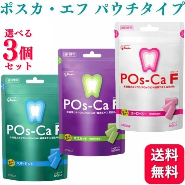 江崎グリコ ポスカ・エフ パウチタイプ ペパーミント 100g【メール便可】