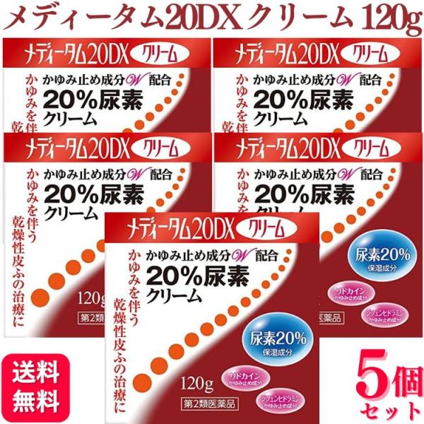 【第2類医薬品】 5個セット ラクール薬品 メディータム20DX 120g メディータム 20dx クリーム