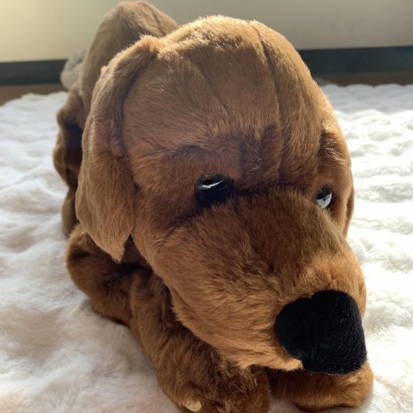 ぬいぐるみ　キッズ　犬　クリスマス　ドッグ　ディスプレイ　子供　おもちゃ