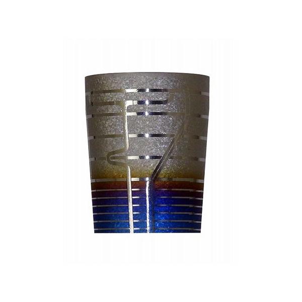 zG(HORIE) `^d^u[ ۗd\^Cv u[X^[ 270 {(Vs)