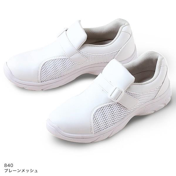 RۖhL  jp v[bV zCg^u[^sN 840 tH[N