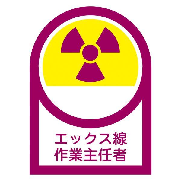 JIS���˔\�W�� �w�����b�g�p�X�e�b�J�[ �u �G�b�N�X����Ǝ�C�� �v HL-62