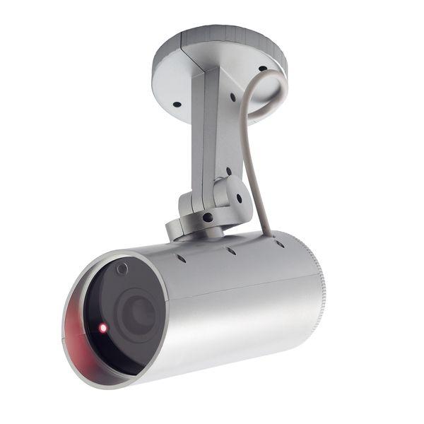 �_�~�[�J���� �h�J�^