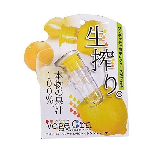  E IW W[T[ xWN C-0313 p[