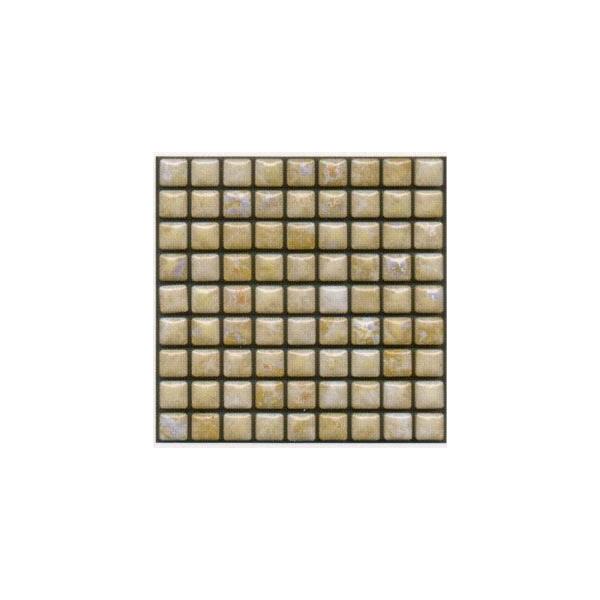 ^C XeBJUCRPT MINI-11    (TV[gZbgj