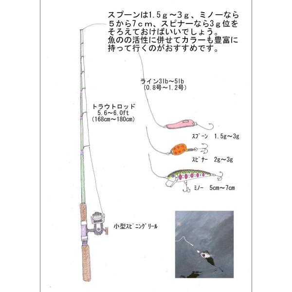 I Loop マイクロ スプーン 2 5cm 1 5g 10色 10個 ルアー セット バーブレスフック タックルケース付き フライ 管釣り Buyee Buyee Japanese Proxy Service Buy From Japan Bot Online