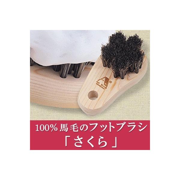 󑐃A[guV tbguV ] pPA tbgPA p  ܃uV w Ђ̂ n