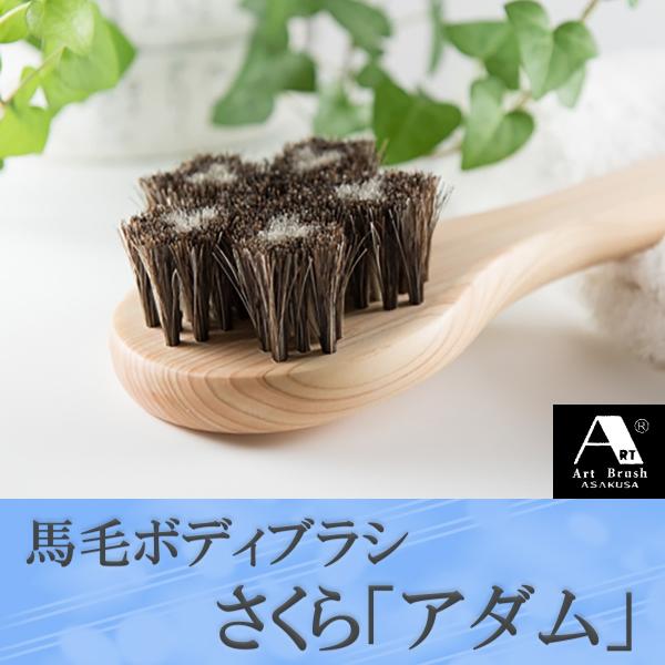 󑐃A[guV Ki nу{fBuV wA_x]Onh d VR Ђ̂ N[i[t C w ь