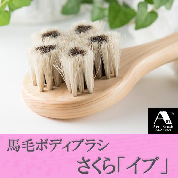 󑐃A[guV Ki nу{fBuV wCux]Onh _炩 VR Ђ̂ N[i[t C w ь