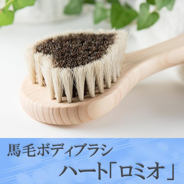 󑐃A[guV Ki nу{fBuV ~I]Onh d VR Ђ̂ N[i[t C w ь