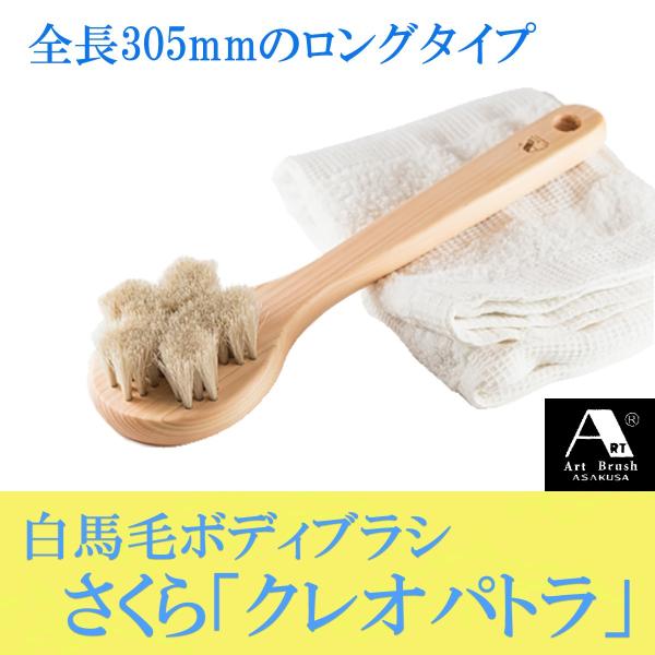 󑐃A[guV Ki nу{fBuV 烍O(NIpg){uVN[i[t]Onh