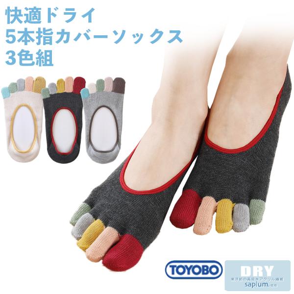 三笠（mikasa） 【3足組】東洋紡 サピウム使用 快適ドライ 5本指