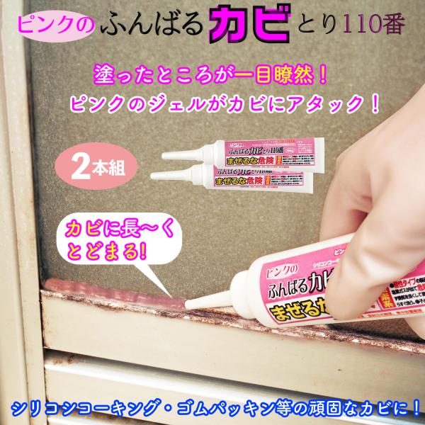富士パックス販売 送料無料【2本/100g】ピンクのふんばるカビとり110番