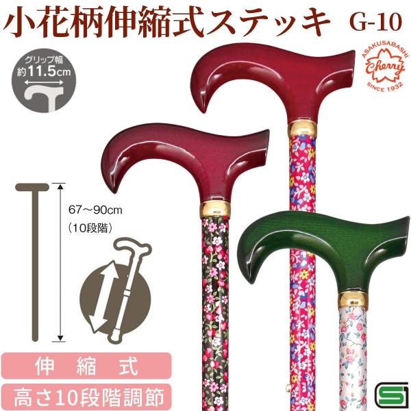 [J[   ԕLkXebL G-10]SG}[N 10iK A~  XebL y  yY `F[}Ee sx  yY