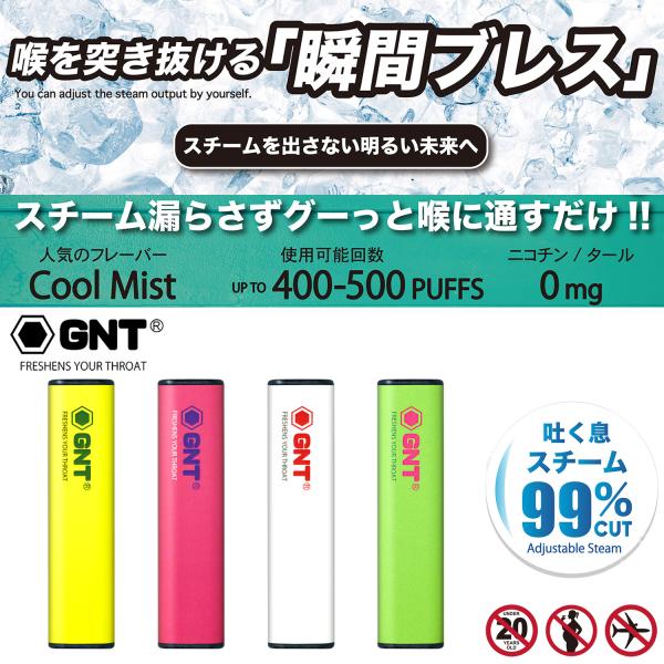 ニコチンページ GNT 使い切り 清涼 VAPE メンソール ミント 新型VAPE ベイプ ニコチン0