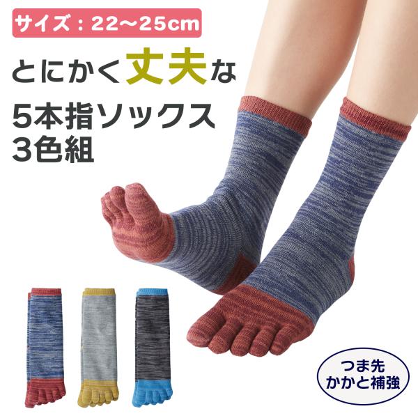 レディース 2225030 とにかく丈夫な 5本指 ソックス 3色組 22-25cm クルー丈 つま先補強 かかと補強 摩耗耐久 丈夫 擦り切れにくい 婦人 三笠 MIKASA