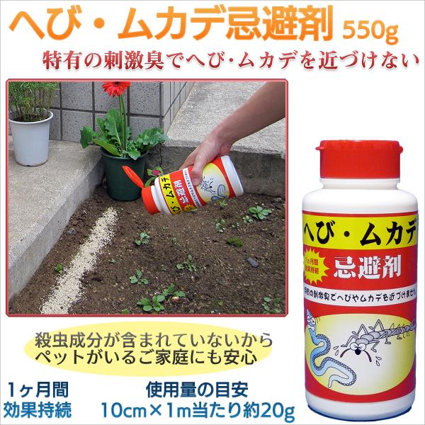 ւуJf 550g {]VRt  pE_[  Q ΍ Q Q΍ wr  Jf ނ S h S S