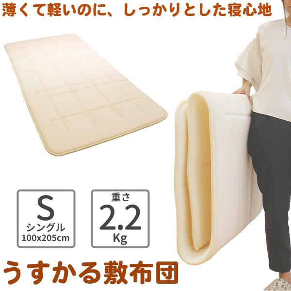 [J[ y Ă ~zc VO 3cm O܂ ᔽ y  y  ̂x ͕U ʋC }bgX 205cm