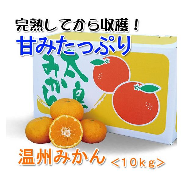 みかん】温州ミカン 家庭用10kg箱【完熟】 : 田島柑橘園&加工所