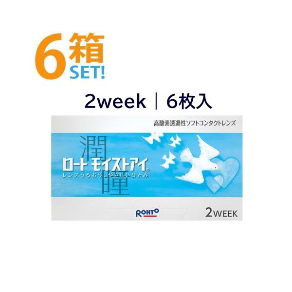 ロート モイストアイ 6枚入【6箱】2週間 2week コンタクトレンズ ROHTO moisteye 2ウィーク コンタクトまとめ買い ポスト便 送料無料