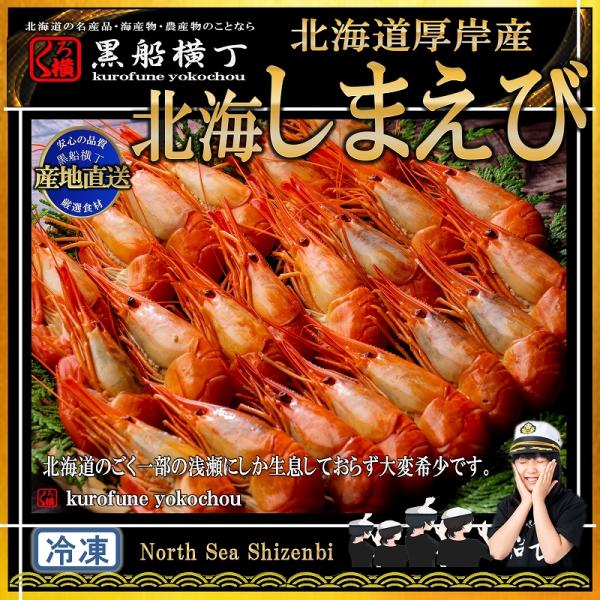 北海しまえび　大500ｇ(25尾前後)【数量限定】【産地直送】お中元　お歳暮　正月　サンマ　糠　北海道　魚