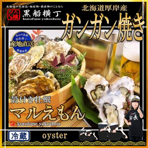 北海道 厚岸産 殻付き 生牡蠣 選べる3種類の 牡蠣缶 LLサイズ×20個 カキナイフ・軍手付【産地直送】 (120〜150g未満/個) カキ かき 牡蠣