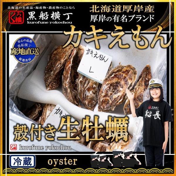 北海道 厚岸産 生牡蠣 「カキえもん」 殻付き Ｌサイズ×10個 カキナイフ 軍手付【産地直送】(70〜90g未満/個)  カキ かき 生食用 厚岸 ギフト お歳暮 お正月