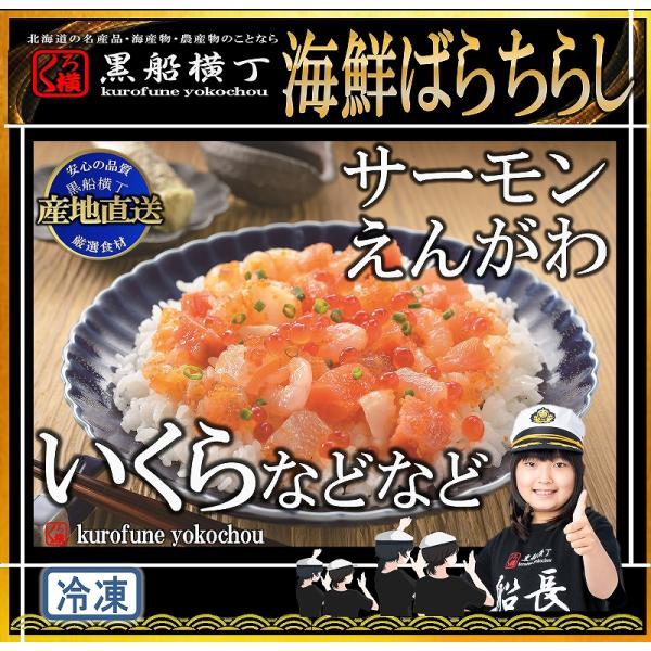 北海道　海鮮ばらちらし　【工場直送】　★北の海鮮めぐり　選出★　サーモン　えんがわ　エンガワ　いくら　イクラ　正月　お中元　お歳暮　パーティー　ちらし