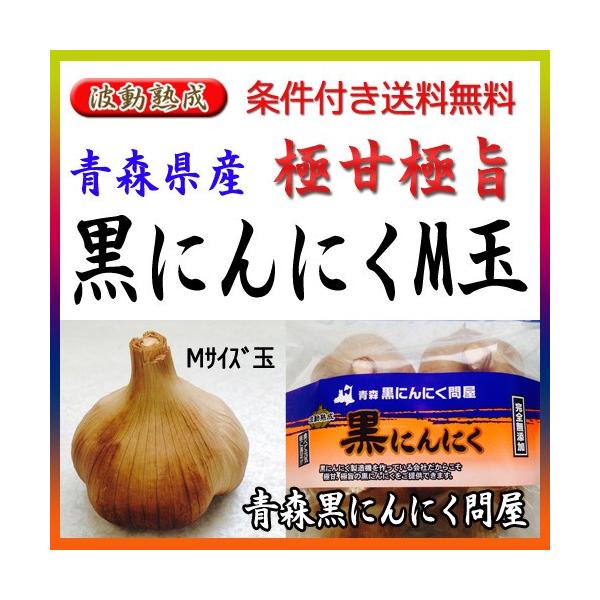 ɂɂ XY M gn 4 Ɖu