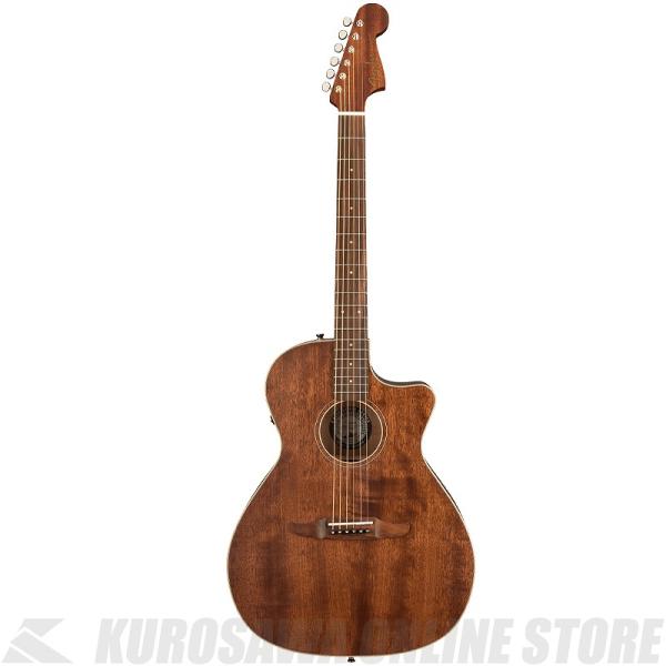 Fender Acoustics Newporter Special with Gig Bag, All