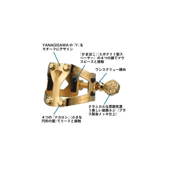 sԌI|CgAbvItiMT j[VNX qK`[{pLbvr \vmTbNXp / Yany SIXS