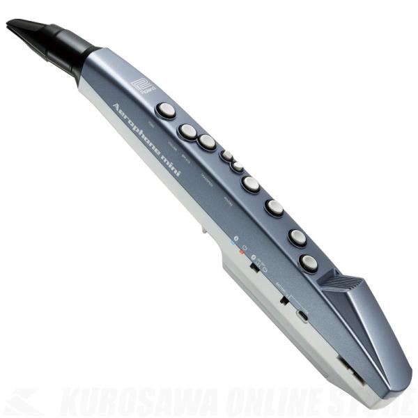 Roland AE-01 (Aerophone mini)s\tt
