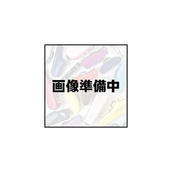 CCVCj[P[XII g{[P[X Ch (g{[pP[X) [TBL] (ꕔE\t)