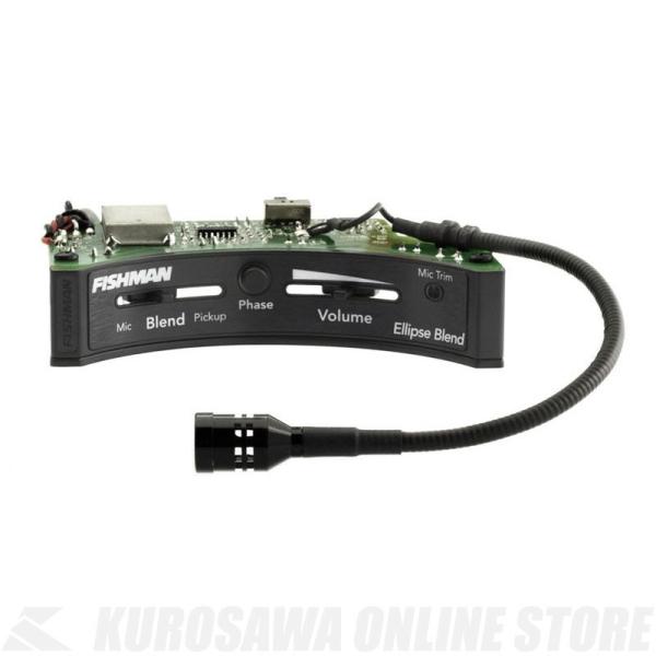 Fishman Ellipse Matrix Blend Undersaddle Pickup Narrow [PRO-MAN-EL2] (AR[XeBbNM^[psbNAbv)