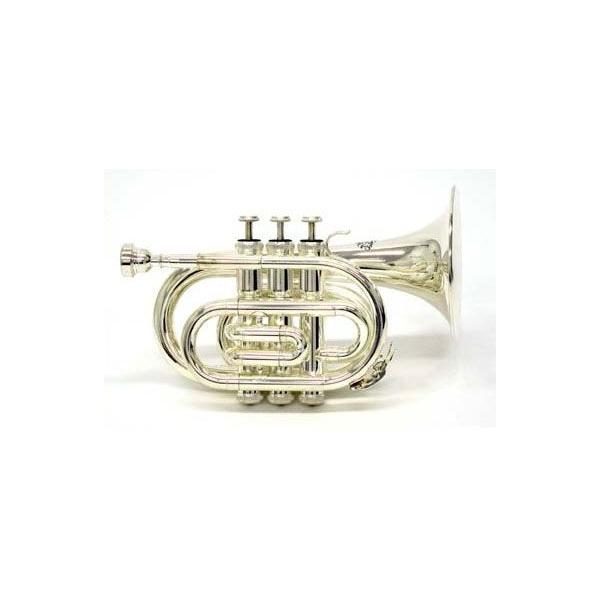 sԌI|CgAbvItJ.Michael JE}CP |Pbggybg -NEW- TR-400PSL(Vo[)()(}X[v[g)