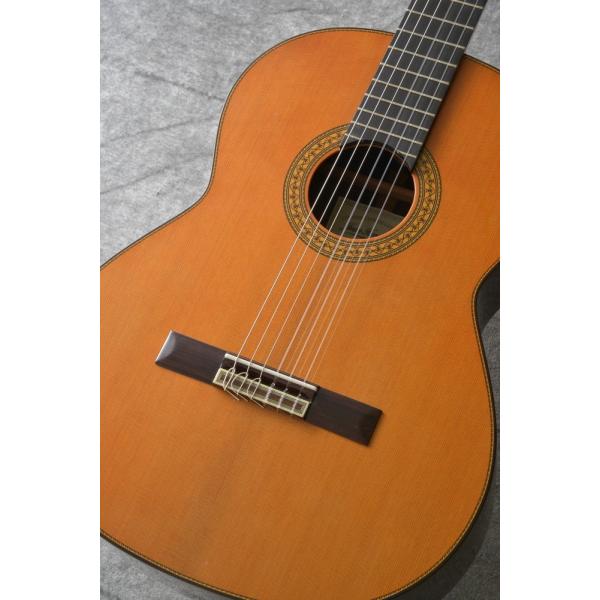 zAEGifX Profesor gbv (NVbNM^[Zbgv[g)