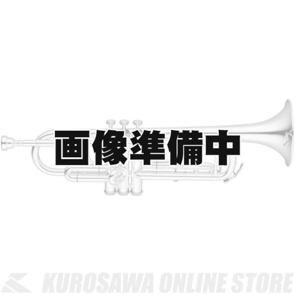 jupiter - トランペットの人気商品・通販・価格比較 - 価格.com jupiter - トランペットの人気商品・通販・価格比較 - 価格.com