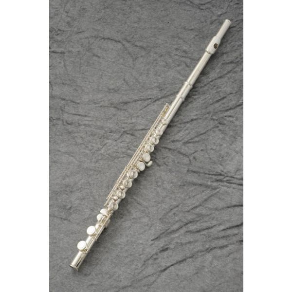 sԌI|CgAbvItJ.Michael J}CP FL-380SE&lt;br&gt;t[g Vo[ (t[gZbgt)