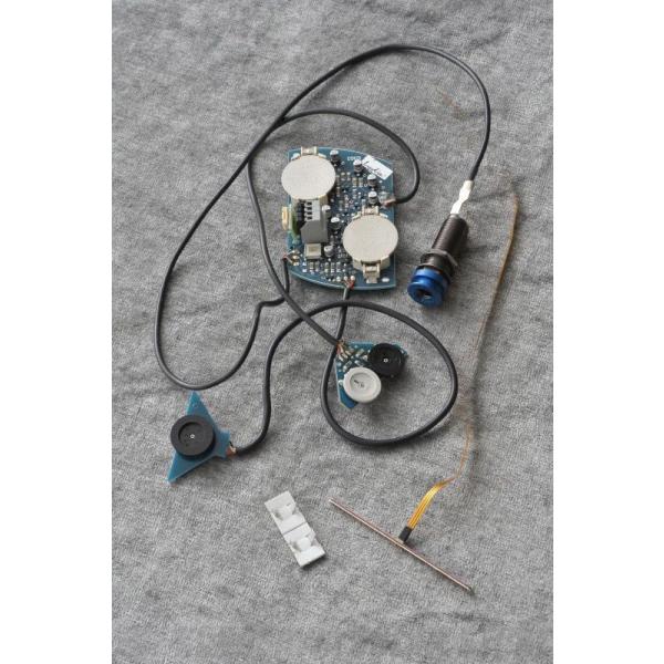 sԌI|CgAbvItSchertler LYDIA-EQ (AR[XeBbNM^[psG]sbNAbv)