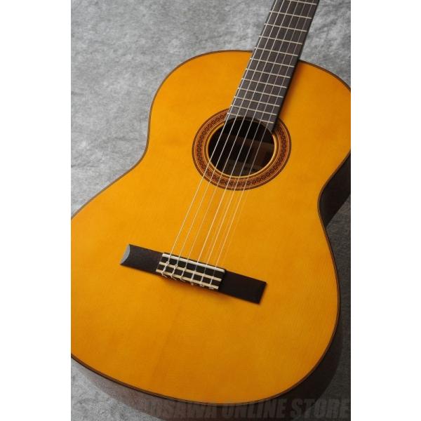 YAMAHA（ヤマハ） YAMAHA CG Series CG162S (クラシックギター) : 昭和