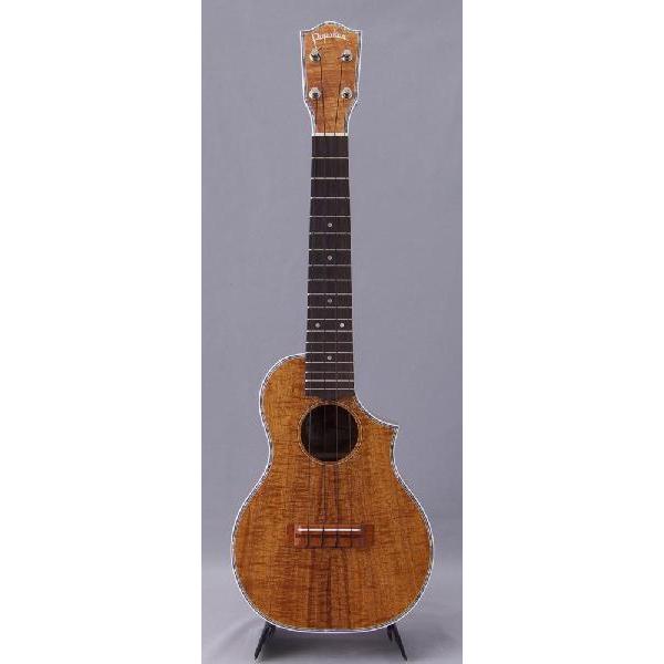 PupukeaUF-C/DX (RT[gJb^EFCf) ho90975(}X[v[g)