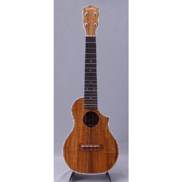 PupukeaUF-C/DX (RT[gJb^EFCf) ho90976(}X[v[g)