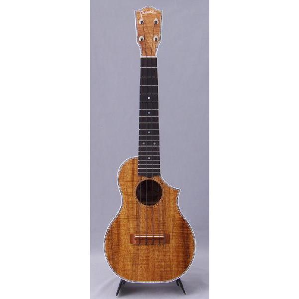 PupukeaUF-C/DX (RT[gJb^EFCf) ho90978(}X[v[g)